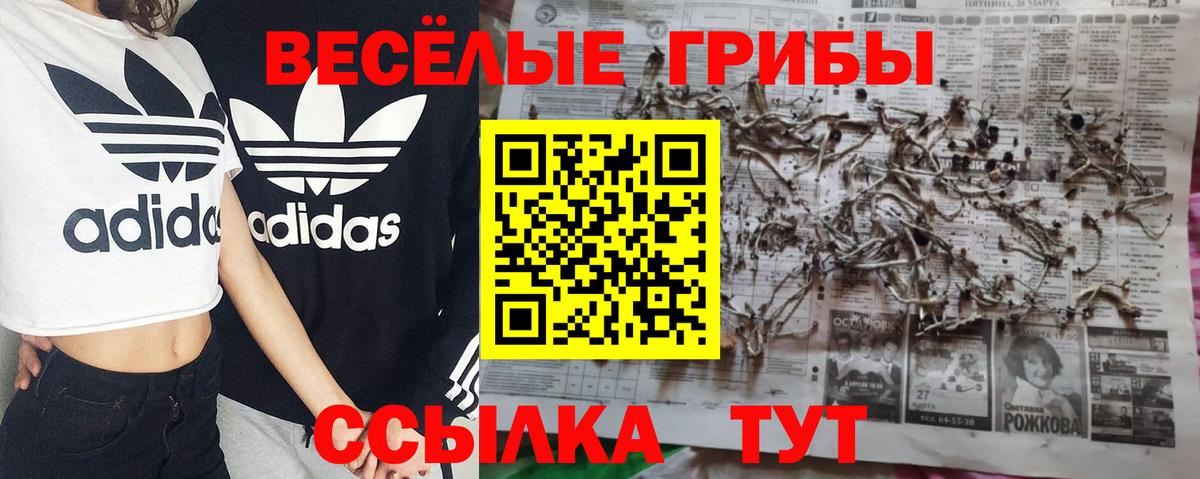Можайск  Псилоцибиновые грибы Magic Shrooms  Вход с VPN 